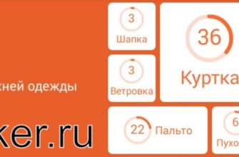 Виды верхней одежды - 94 процента ответы к игре