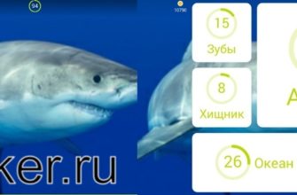 Акула картинка - 94 процента ответы к игре